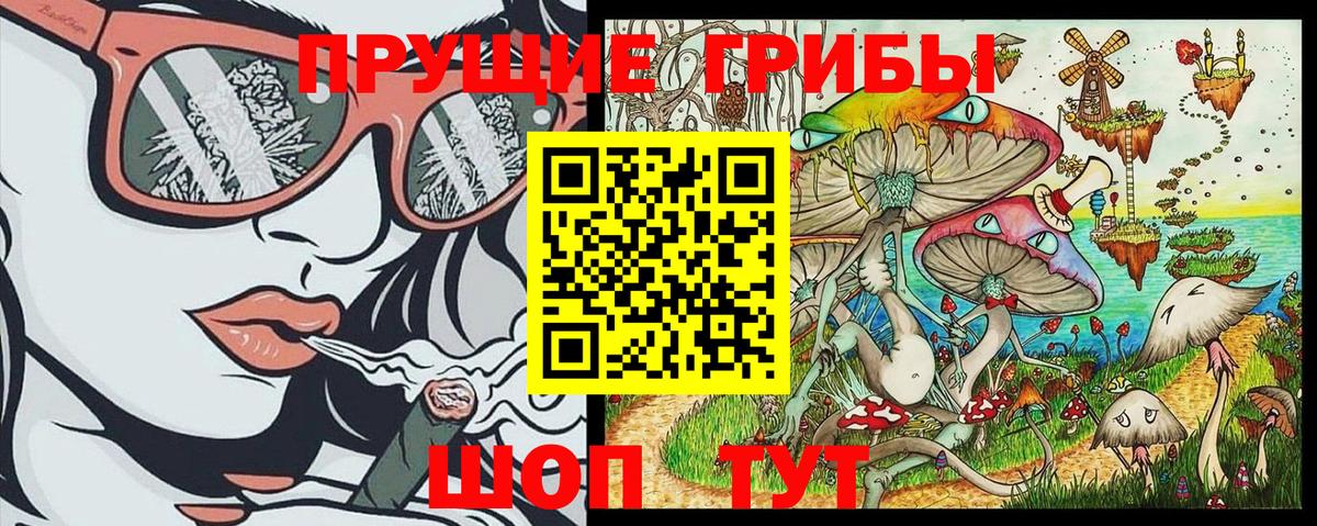 Галлюциногенные грибы Psilocybe Лыткарино